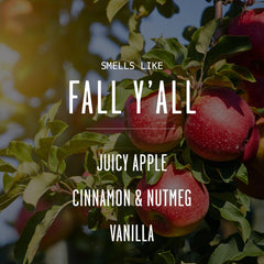 Soy and Sass apple cinnamon nutmeg scent in a soy candle for cozy evenings