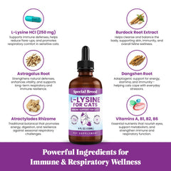 Special Breed immune support illustration for cats and seasonal wellness.