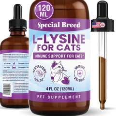 Special Breed Lysine liquid bottle for cats supports daily immune health and easy dosing.