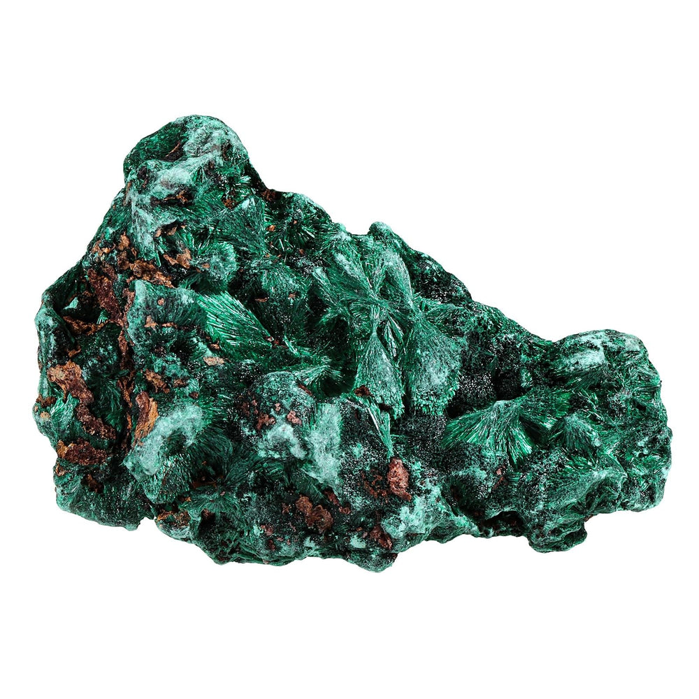 Sportmusies natural malachite rough specimen close-up showing vivid green veins for display