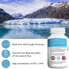 Sprout Source wild anchovy softgel bottle emphasizes sustainable sourcing