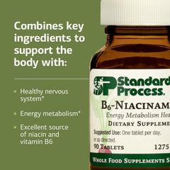 Standard Process B6-Niacinamide box packaging, illustrating 90 tablets serving size.