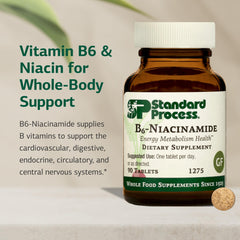 Standard Process B6-Niacinamide tablets closeup, showcasing gluten-free and non-dairy options.