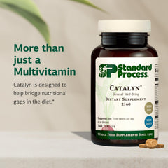 Standard Process Catalyn tablets closeup emphasizing vitamin-rich profile for everyday vitality