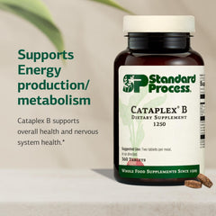 Standard Process Cataplex B label with niacin and B6 ingredients.