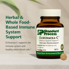 Standard Process Echinacea-C tablets close-up highlighting convenient daily dose.