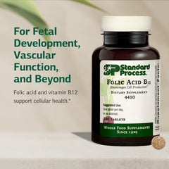 Standard Process Folic Acid B12-180 bottle on a kitchen counter for daily use.