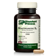 Standard Process Niacinamide B6 bottle front supports daily energy and overall wellness