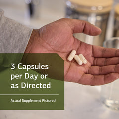 Standard Process ProSynbiotic label shows inulin and probiotic blend for gut balance.