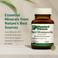 Standard Process Trace Minerals-B12 tablets pack displayed on a clean surface.
