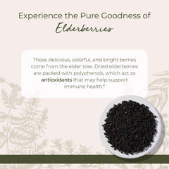 Starwest Botanicals European elderberries from Bulgaria and Croatia for jam and gummies