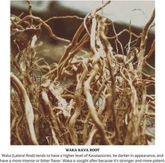 Starwest Botanicals Kava roots four-year harvest highlights quality.
