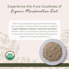 Close-up of Starwest Botanicals marshmallow root powder texture for blends