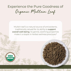 Starwest Botanicals mullein-leaf-dried-bulk, versatile herb for tea and syrups.