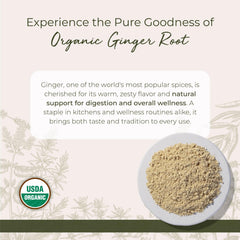 Starwest Botanicals ginger powder with a tea cup for a warm infusion