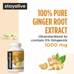 Stay Alive ginger extract capsules close-up highlights 5% gingerols in each capsule.