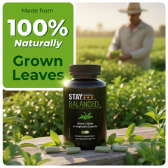 StayBalanced bottle with label emphasizing additive-free, whole-leaf capsules.