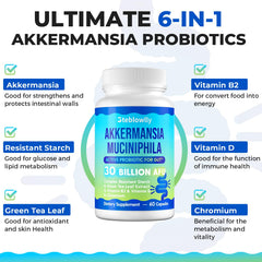 Steblowlly Akkermansia delayed-release capsules emphasize targeted intestine delivery.