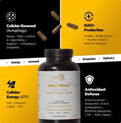 Stellar Health Ubiquinol-CoQ10 en cápsula: soporte energético celular