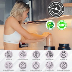 Stellar Labs whey protein chocolate shaker mix ready-to-drink