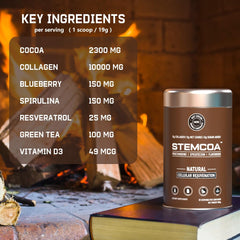 Stemcoa NCR1 cocoa powder close-up highlights rich flavor and antioxidants