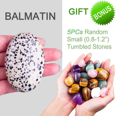 Stino Balmatin Dalmatian palm stone polished surface for stress relief