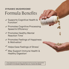 Stonehenge Dynamic Health Mushrooms label detail, emphasizing ingredients and potency for informed choices.
