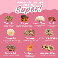 Suiyilary 10-mushroom powder blend canister for daily wellness boost.