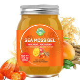 SumDIP sea moss gel jar shows nutrient-rich gel ready for daily use.