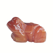 Sunshcat Carnelian Frog pocket figurine with warm hues and calming energy.