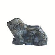 Sunshcat natural rhyolite frog pocket figurine, a compact charm for balance and calm.