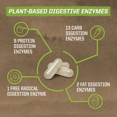 Sunwarrior Enzorb label detail reveals vegan, spore-based probiotic features.