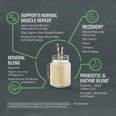 Sunwarrior ingredient blend of rice, pumpkin and pea proteins