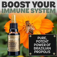 Sunyata propolis dropper bottle enables precise dosing with no alcohol.