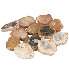 SUNYIK petrified wood slab color tones highlight earthy hues for decor
