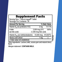 Superior Source No Shot B-6 and folic acid ingredients label emphasizes purity.