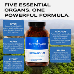 Suppgrade Labs Organs 101 bottle-back label showing nutrient profile