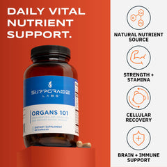 Suppgrade Labs Organs 101 capsules-closeup highlighting convenient, nutrient-dense organ blend