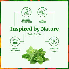 Diluted oregano oil for skin care and gentle massage by SVA ORGANICS.