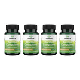 Swanson Bacillus Coagulans bottle front view for digestive support