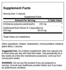 Swanson Echinacea with Goldenseal label emphasizing natural ingredients