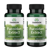Swanson fucoidan extract 500mg bottle for daily immune support