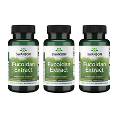 Swanson Fucoidan Extract bottle on a table for daily immune support