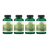 Swanson Horse Chestnut bottle showing standardized aescin content for circulation support