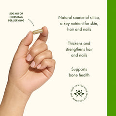 Swanson Horsetail ingredients detail emphasizes the herbal source for beauty goals