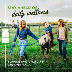 Swanson Kudzu Root label highlighting traditional herbal roots for wellness.