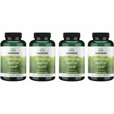 Swanson Stinging Nettle Leaf bottle pouring capsules for daily urinary and respiratory support.