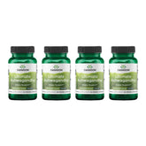 Swanson Ultimate Ashwagandha KSM-66 bottle supports daily calm and balanced mood.