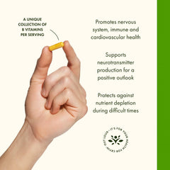 Swanson Vitamin B-100 label highlights a full spectrum B vitamin blend.