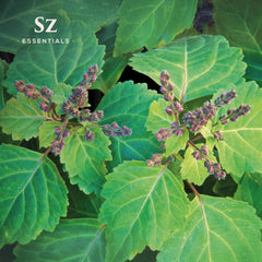 Sz Essentials Patchouli oil dropper ready for gentle dilution and blending.